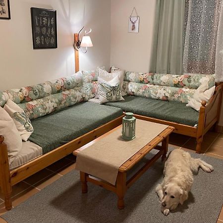 Hundefreundliche Bergwohnung Neben Der Skipiste - Mittelstation Skigebiet Gerlitzen Kanzelhohe Экстерьер фото