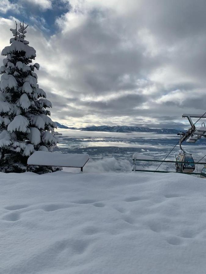 Hundefreundliche Bergwohnung Neben Der Skipiste - Mittelstation Skigebiet Gerlitzen Kanzelhohe Экстерьер фото