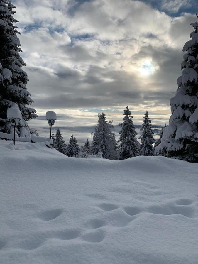 Hundefreundliche Bergwohnung Neben Der Skipiste - Mittelstation Skigebiet Gerlitzen Kanzelhohe Экстерьер фото