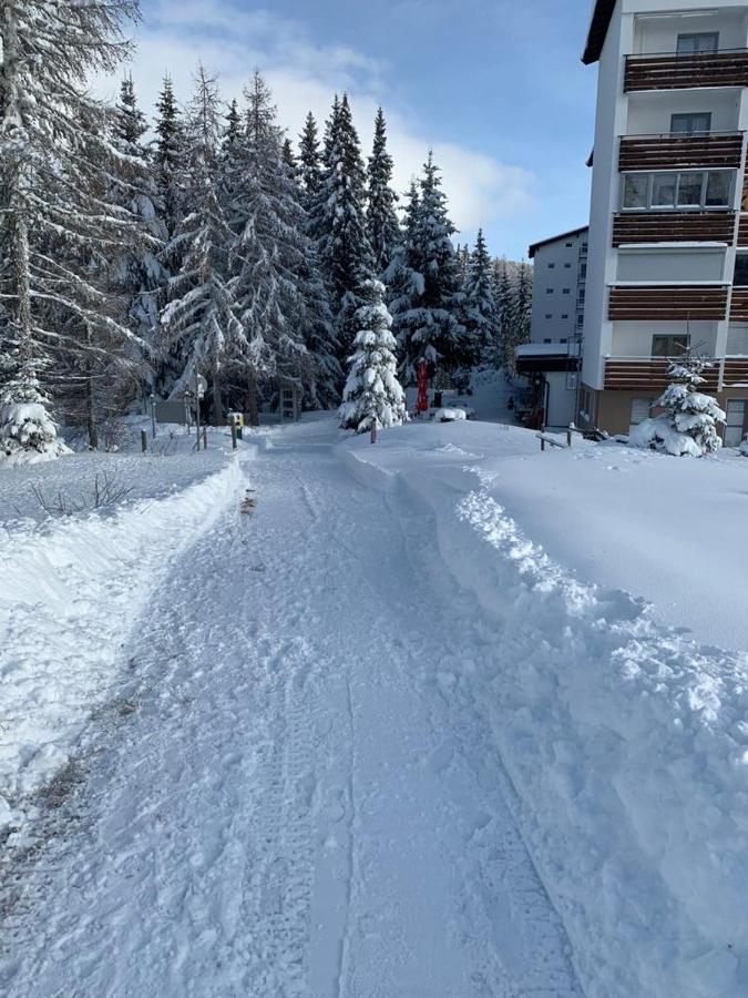 Hundefreundliche Bergwohnung Neben Der Skipiste - Mittelstation Skigebiet Gerlitzen Kanzelhohe Экстерьер фото