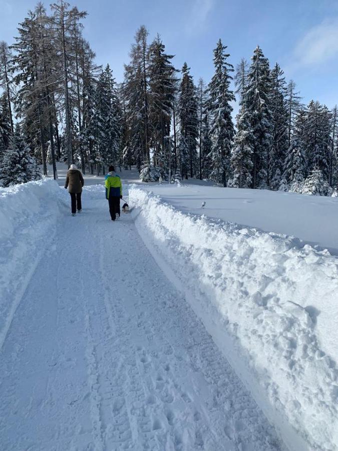 Hundefreundliche Bergwohnung Neben Der Skipiste - Mittelstation Skigebiet Gerlitzen Kanzelhohe Экстерьер фото