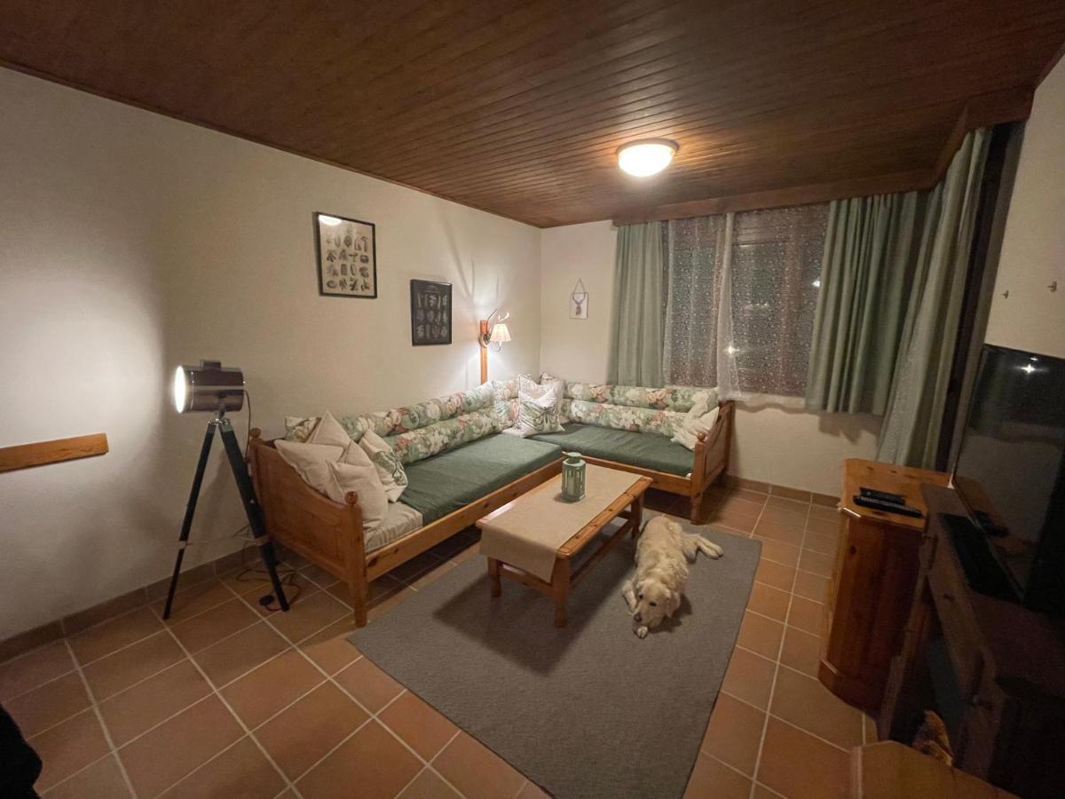 Hundefreundliche Bergwohnung Neben Der Skipiste - Mittelstation Skigebiet Gerlitzen Kanzelhohe Экстерьер фото