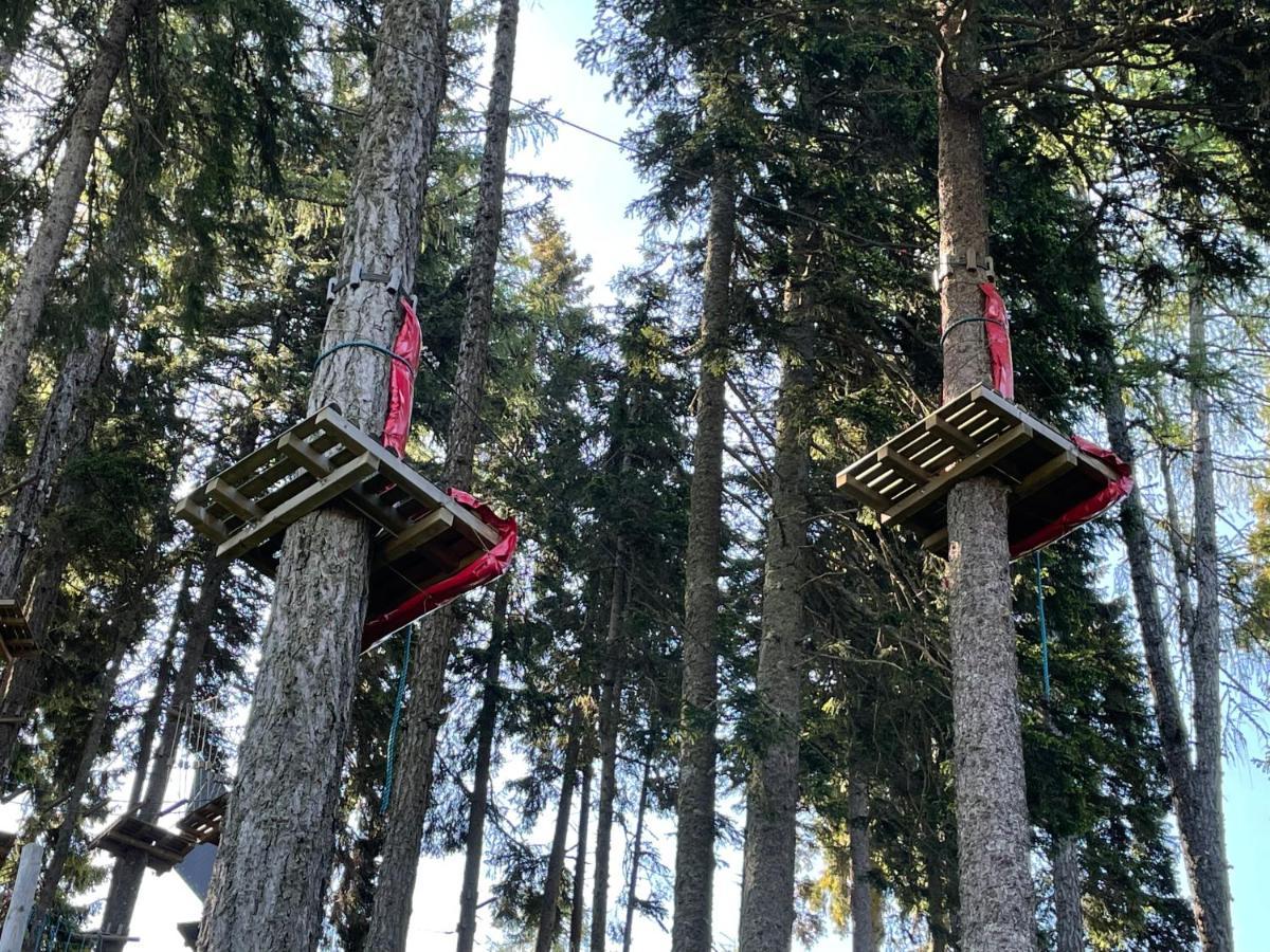 Hundefreundliche Bergwohnung Neben Der Skipiste - Mittelstation Skigebiet Gerlitzen Kanzelhohe Экстерьер фото