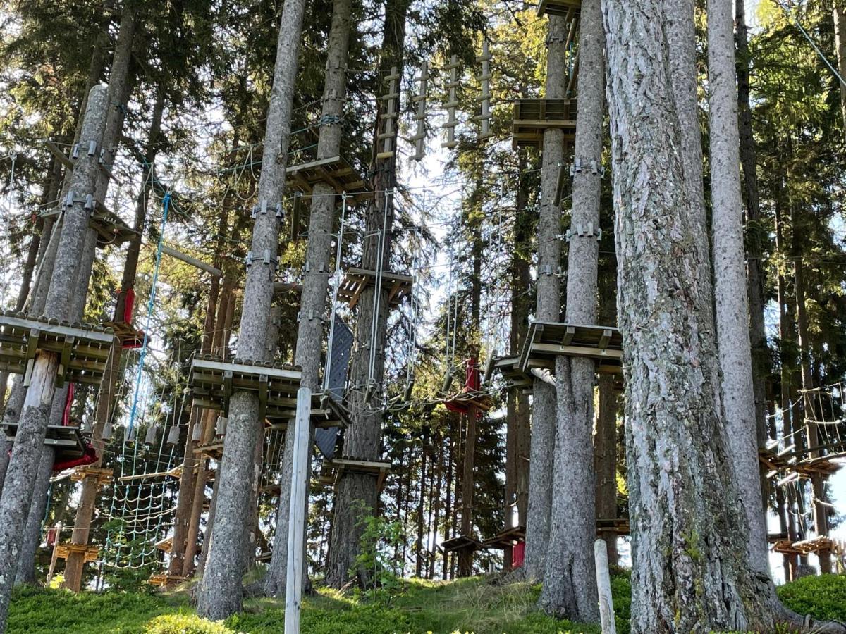 Hundefreundliche Bergwohnung Neben Der Skipiste - Mittelstation Skigebiet Gerlitzen Kanzelhohe Экстерьер фото